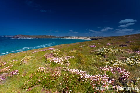 Cliff topThrift At Cranktock