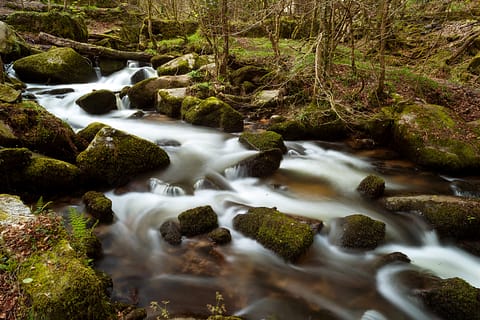 Kennal Vale Upper Falls